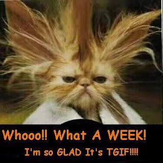 tgif.bmp