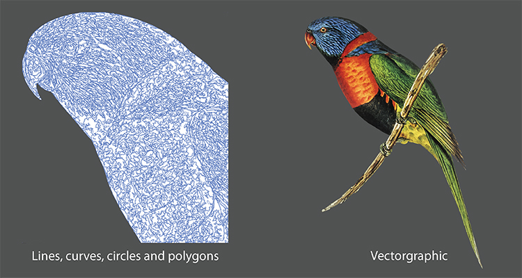 Raster Vs Vector Images The Key Differences Explained Color Vision - Ultra HD City Photos for Desktop