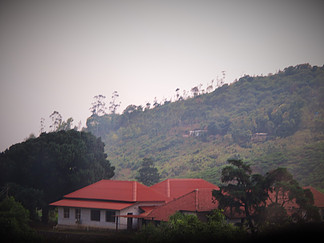 Red Roof,Munnar