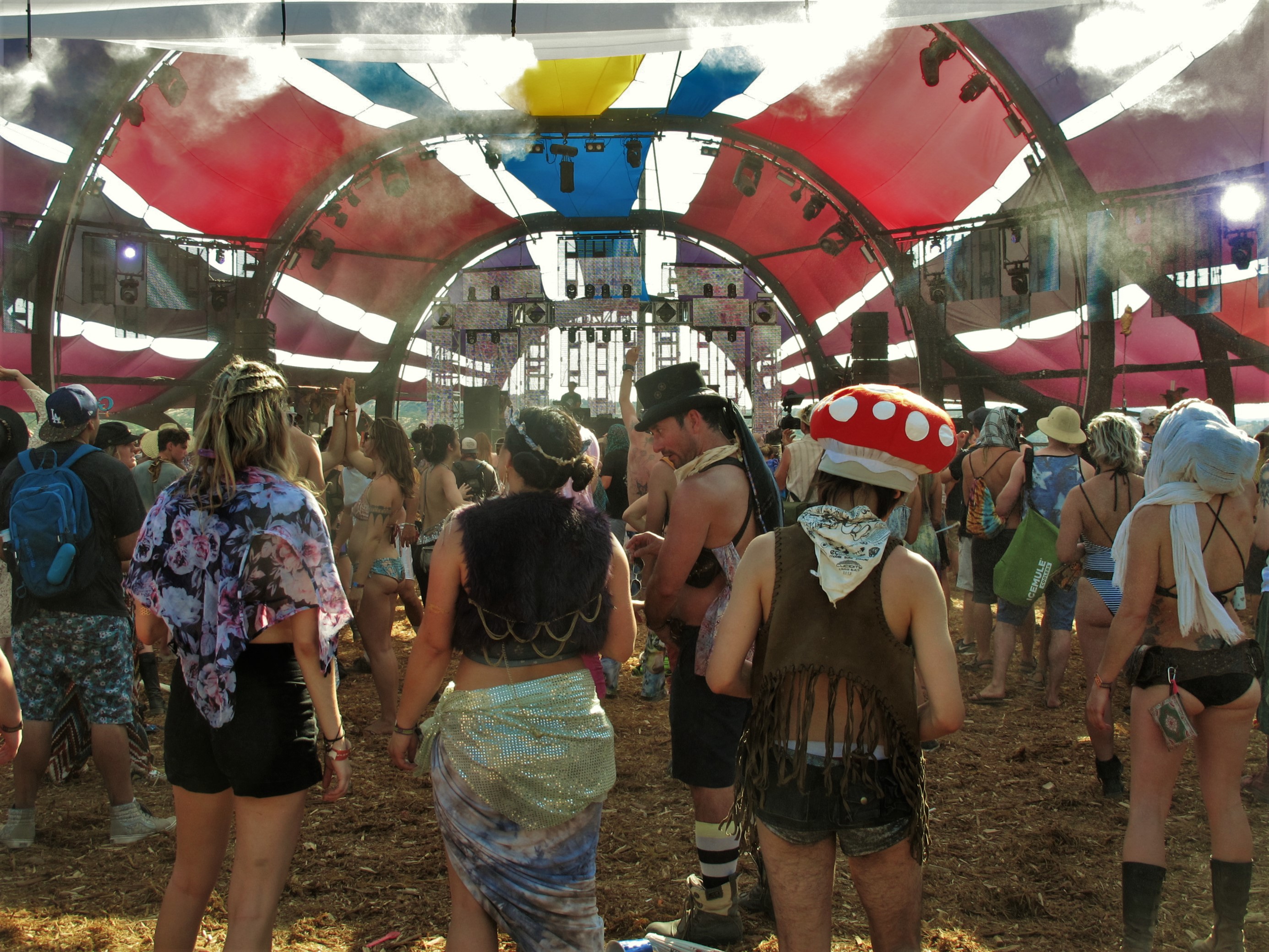 shrooms, LIB, Bradley, CA