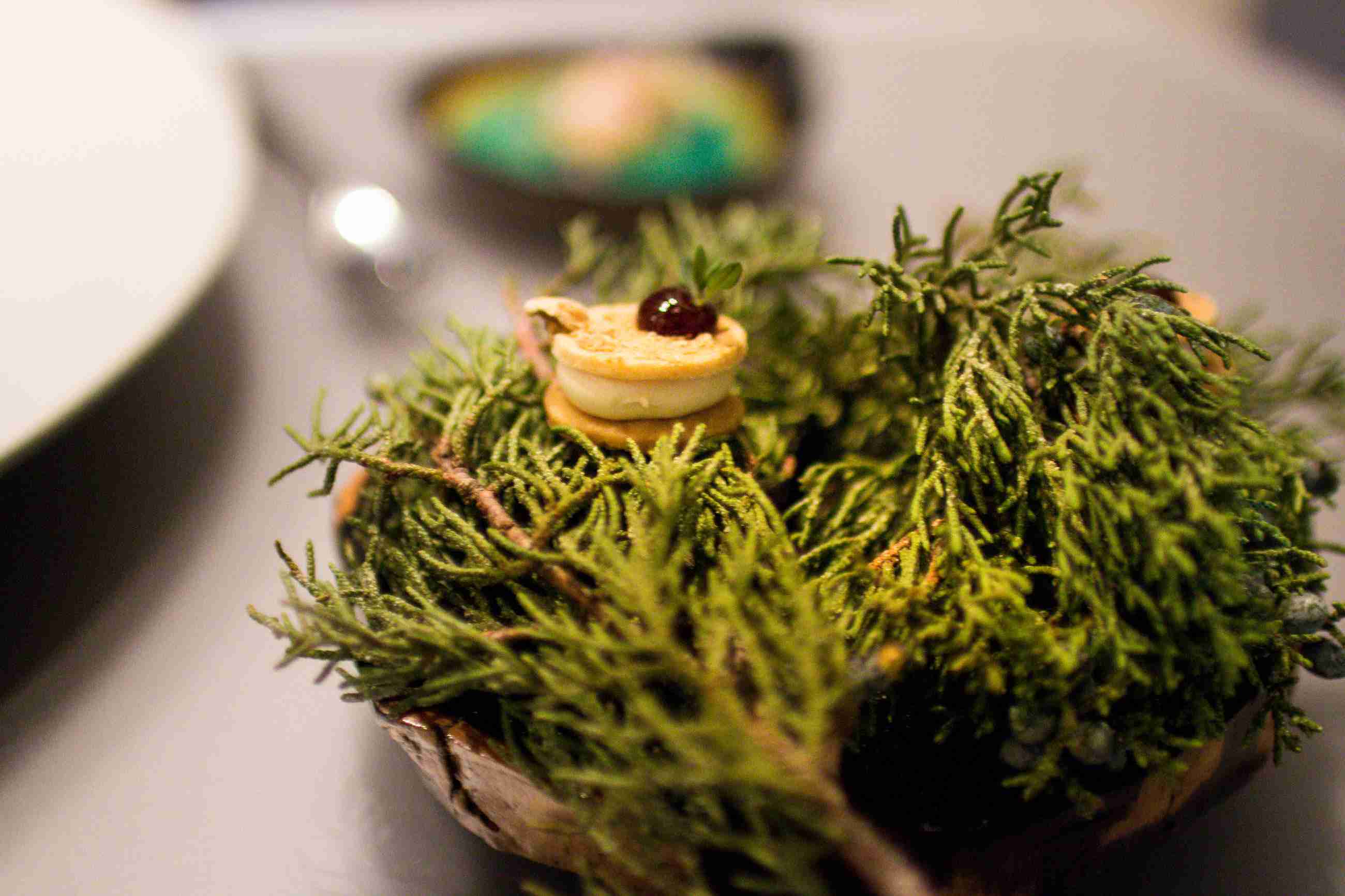"Branch" at Alinea, Chicago (Photo by Brad A. Johnson)