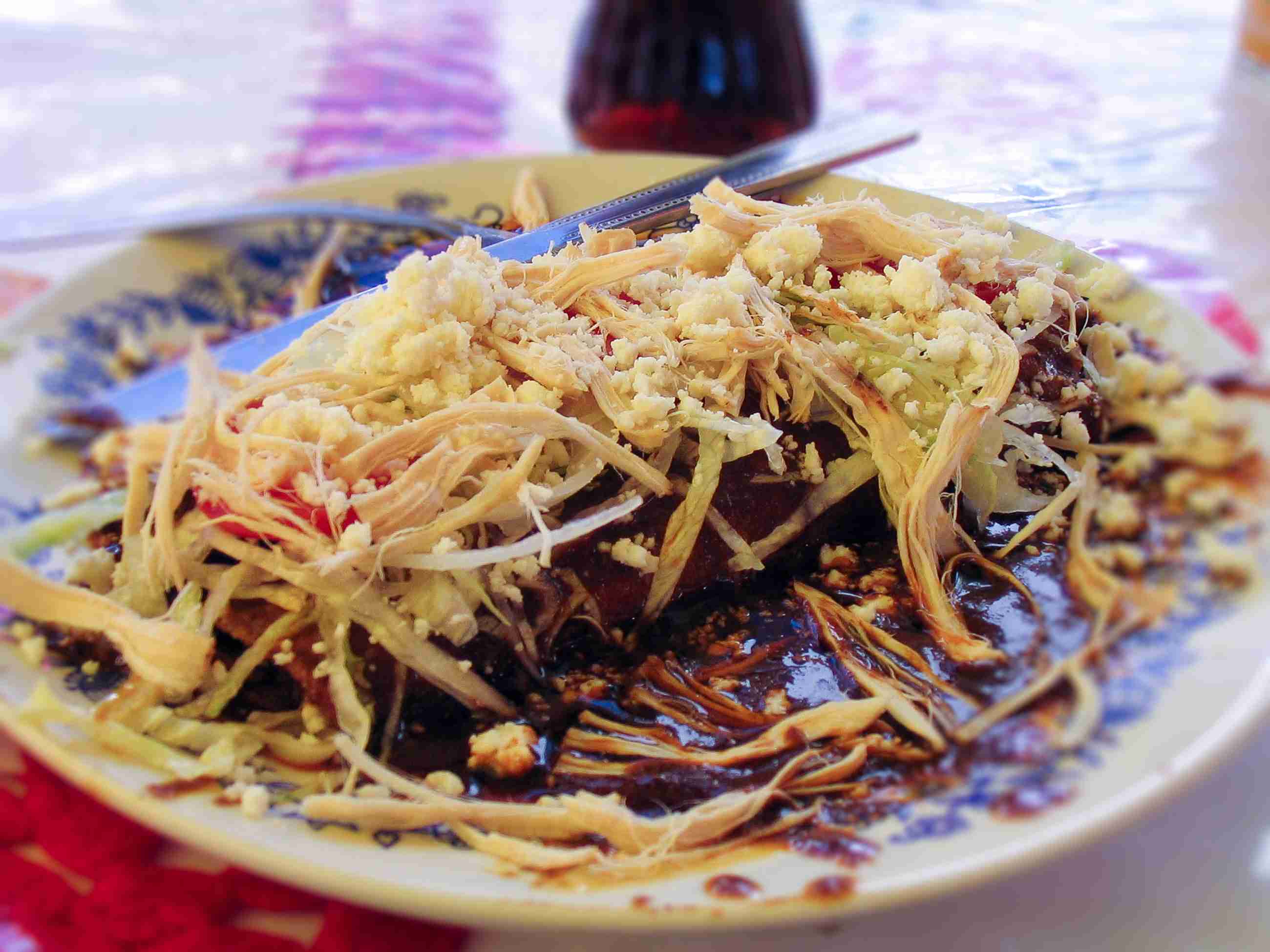 Chicken mole enchiladas at Festival of the Virgin in Cholula, Mexico (Photo by Brad A. Johnson)