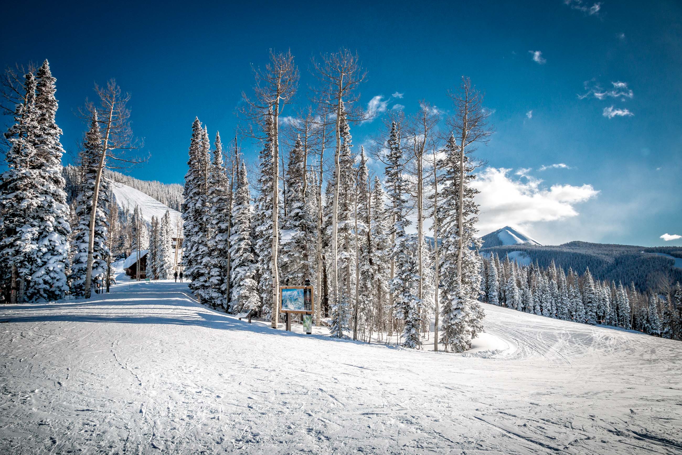 Telluride
