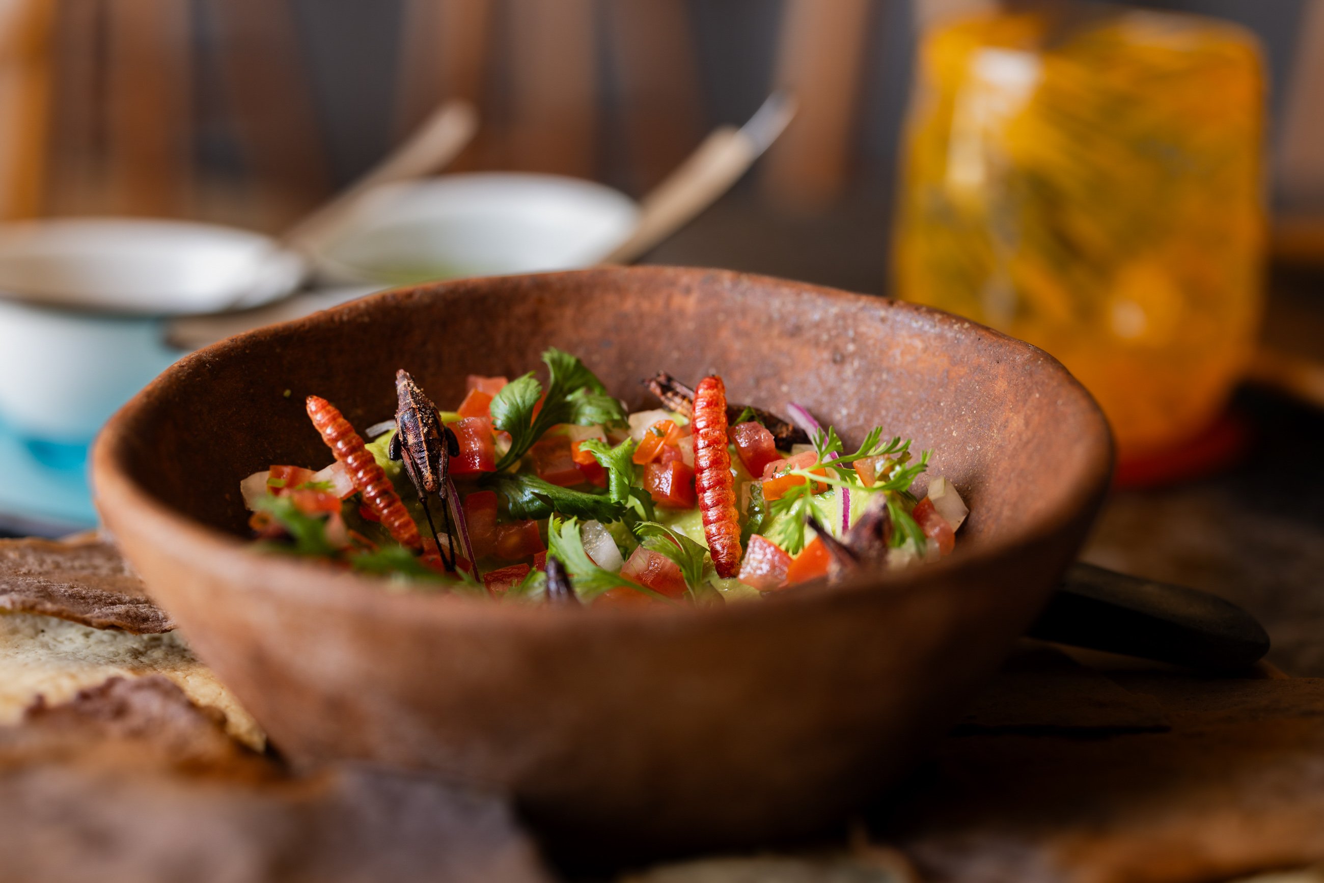 Guacamole with maguey worms at Nacho taqueria at Four Seasons Tamarindo, Mexico (Photo by Brad A. Johnson)