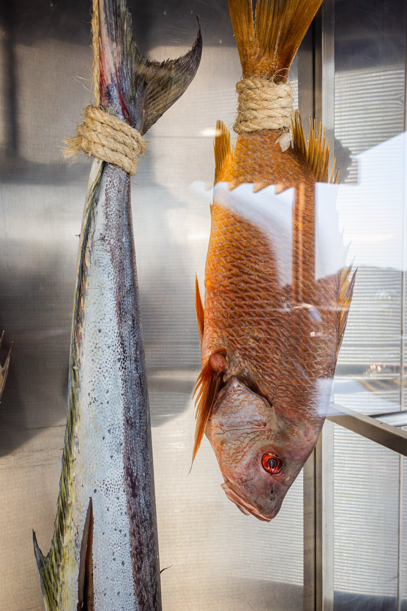 Dry-aged fish at Sal at Four Seasons Tamarindo, Mexico (Photo by Brad A. Johnson)
