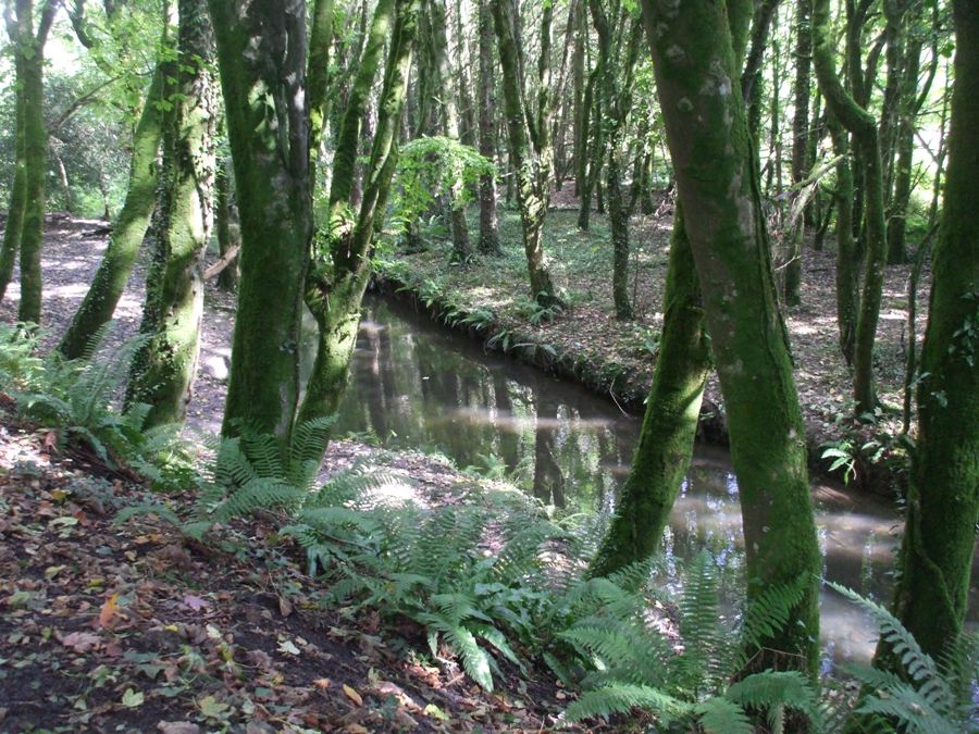 On the way to Kilgetty Iron Works – Amroth, September 2017