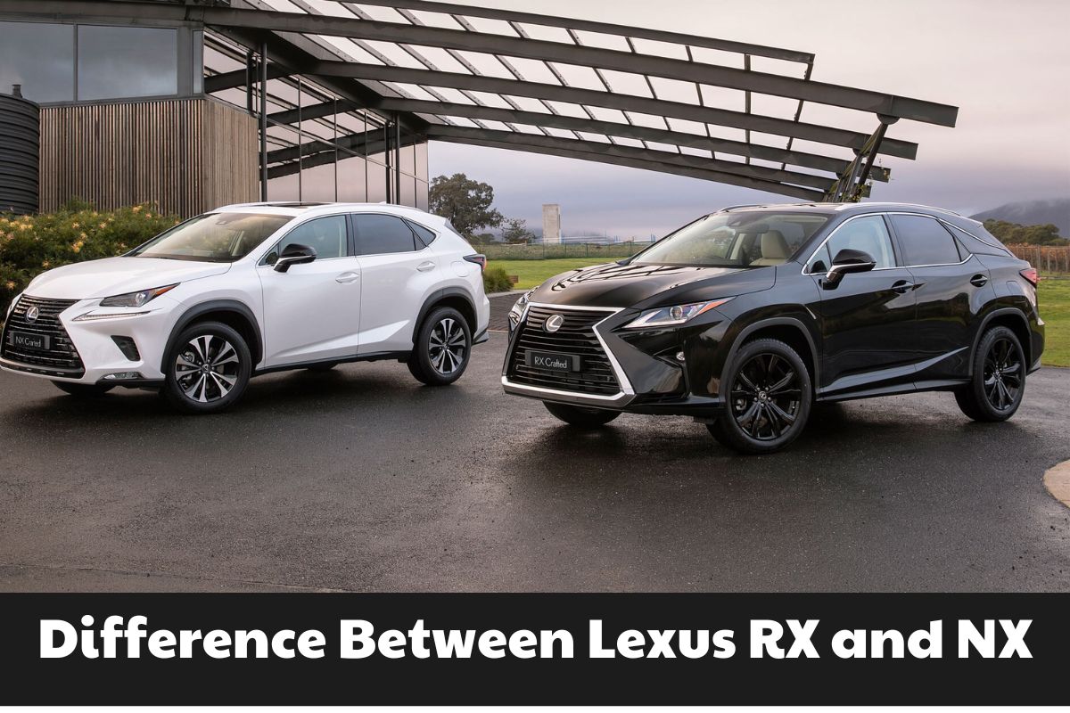 Difference between lexus rx and nx: a comprehensive comparison