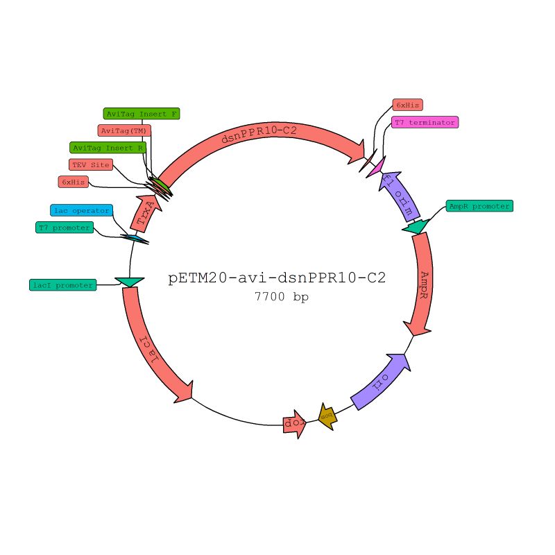 Github Evoart Plasmidnetworks - Mountain Wallpapers - Professional Mobile Collection