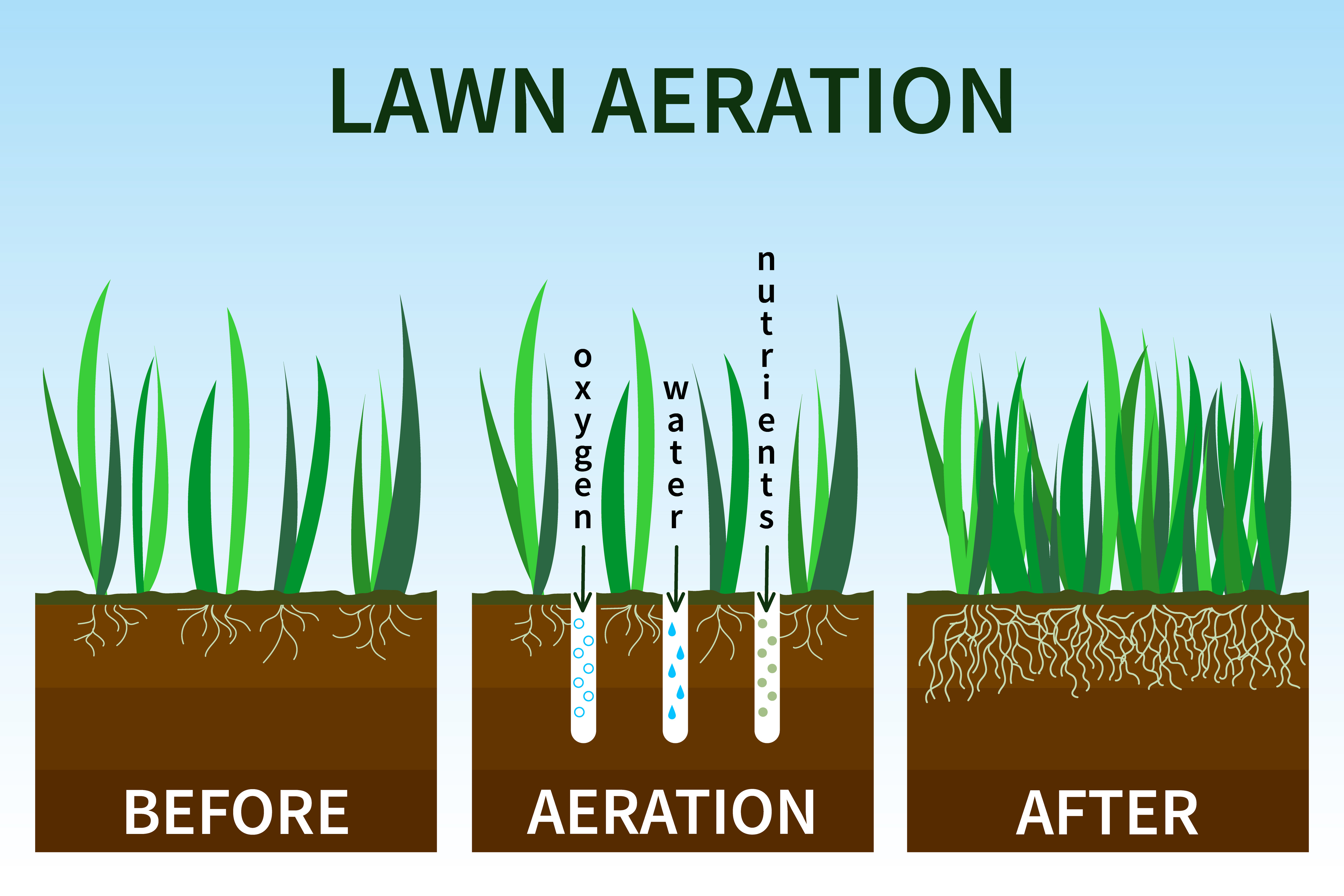 Give your Lawn Room to Breathe