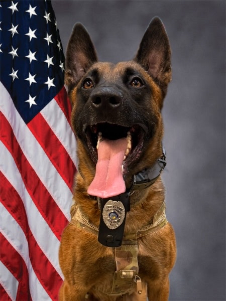 Byrd, Holly Springs Police Department, Holly Springs, North Carolina