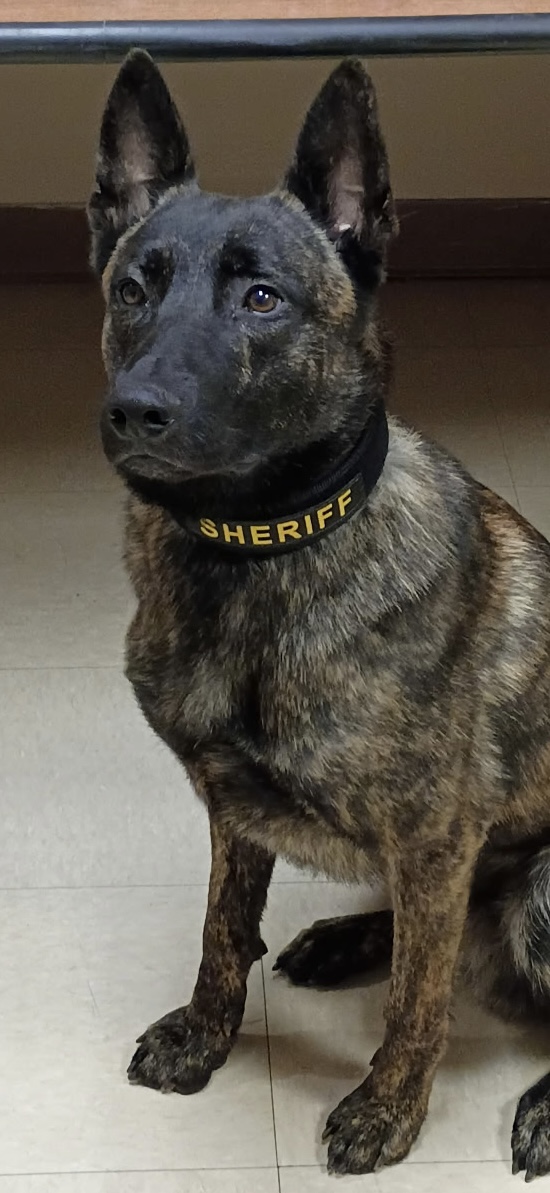 Atom, Bland County Sheriff’s Office, Bland, Virginia
