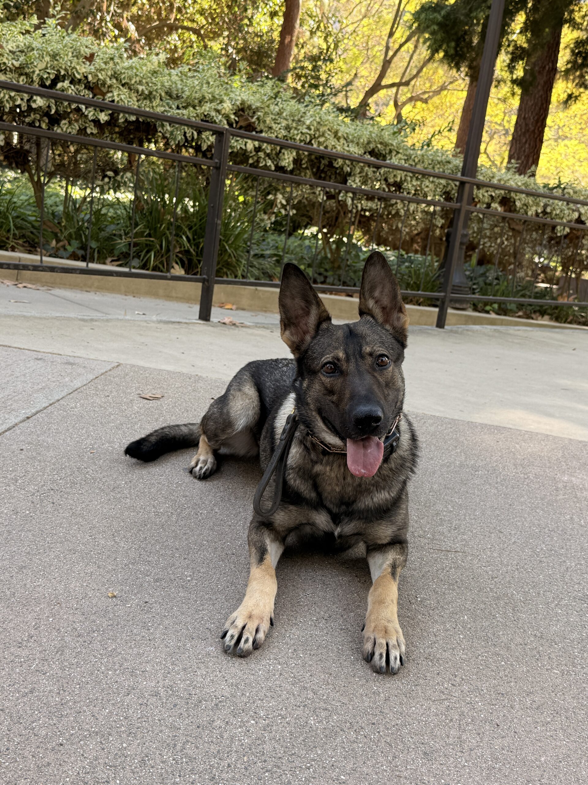 Nova, UCLA PD, Los Angeles, California