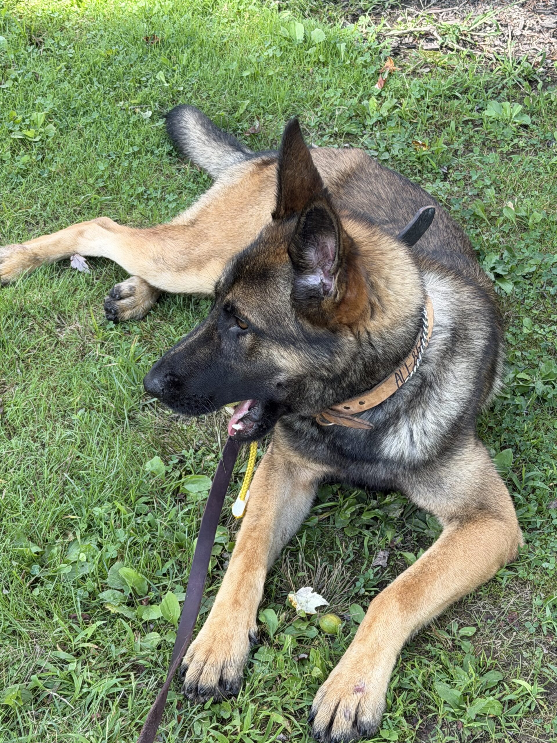 Bane, Stark County Sheriff Office, Canton, Ohio