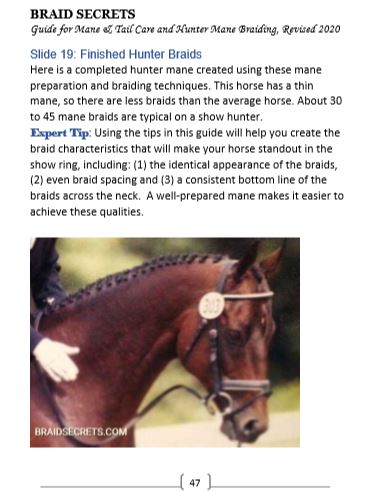 Hunter Braiding - Expert Tips