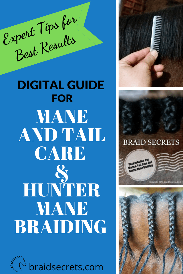 Hunter Mane Braiding Guide, plus Mane & Tail Care