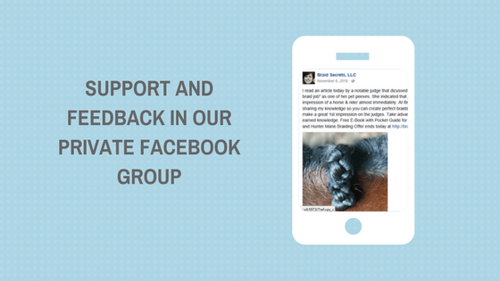 Mane Braiding Secrets Support