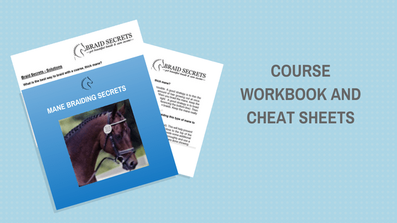 Mane Braiding Secrets Workbook and Cheat Sheets