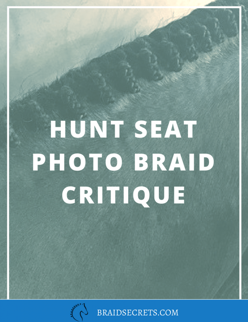 EXPERT EVALUATION OF HUNT SEAT MANE BRAIDS