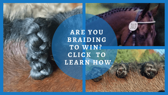 Mane Braiding to Win Course