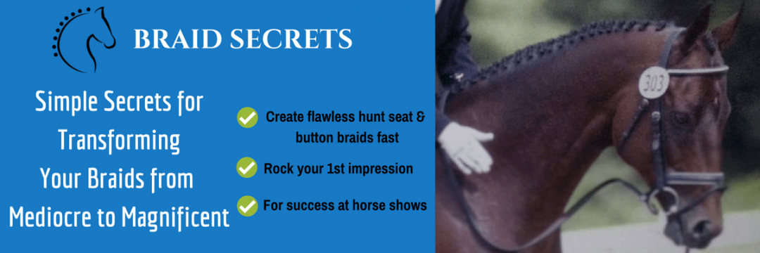 Braided Horse Mane Tutorials & Expert Tips for Riders