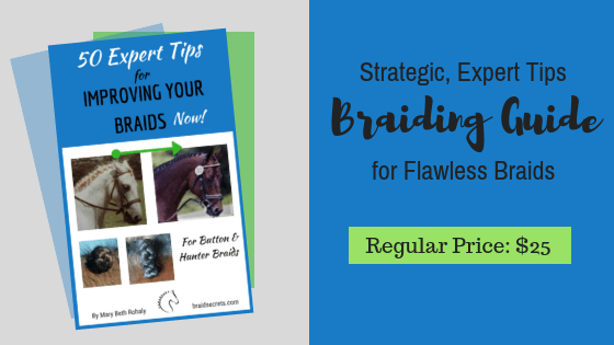 Mane Braiding Guide for Riders