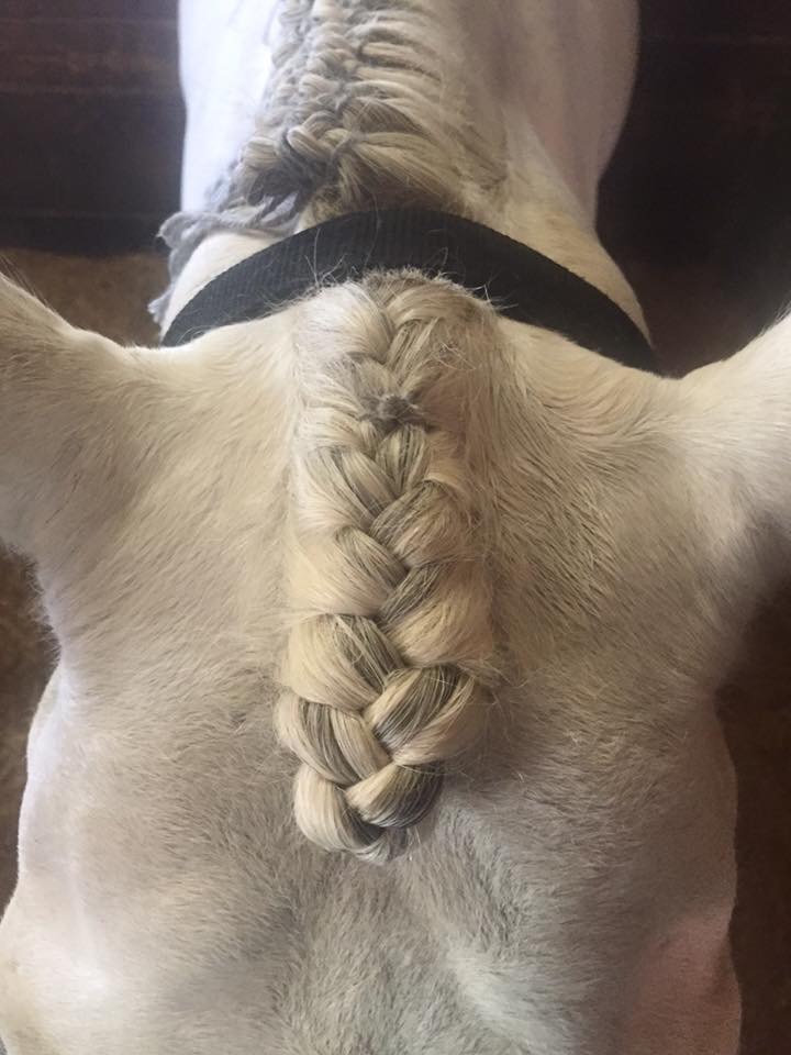 How to French Braid a Forelock