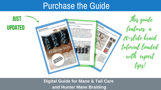 Digital Guide for Hunter Mane Braiding plus Bonus Video