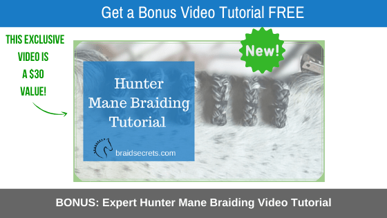 Digital Guide for Hunter Mane Braiding with Bonus Video