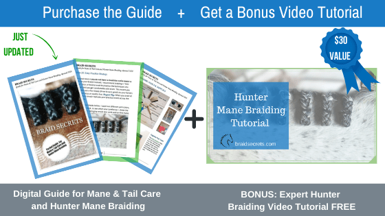 Digital Guide Hunter Mane Braiding + Bonus Expert Video Tutorial