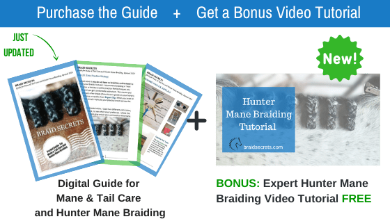 Hunter Mane Braiding Guide