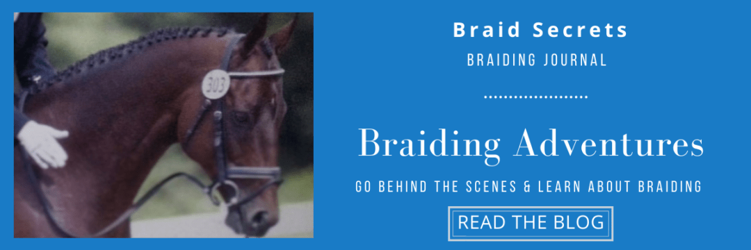 HHow to Braid a Horse's Mane Blog