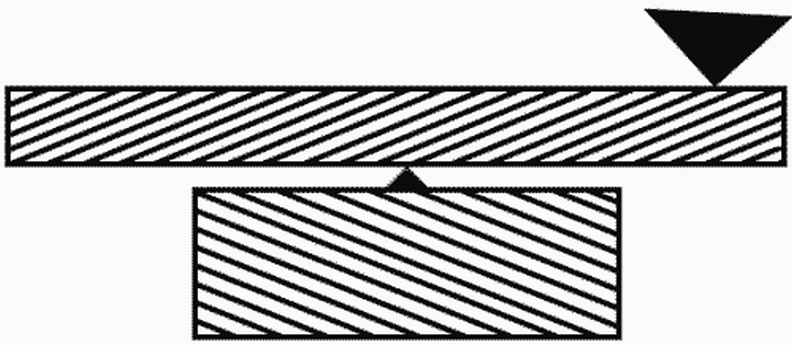 Word Illusions 