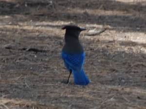 CSC_0075