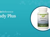 Study Plus Review 8 Things You May Not Know