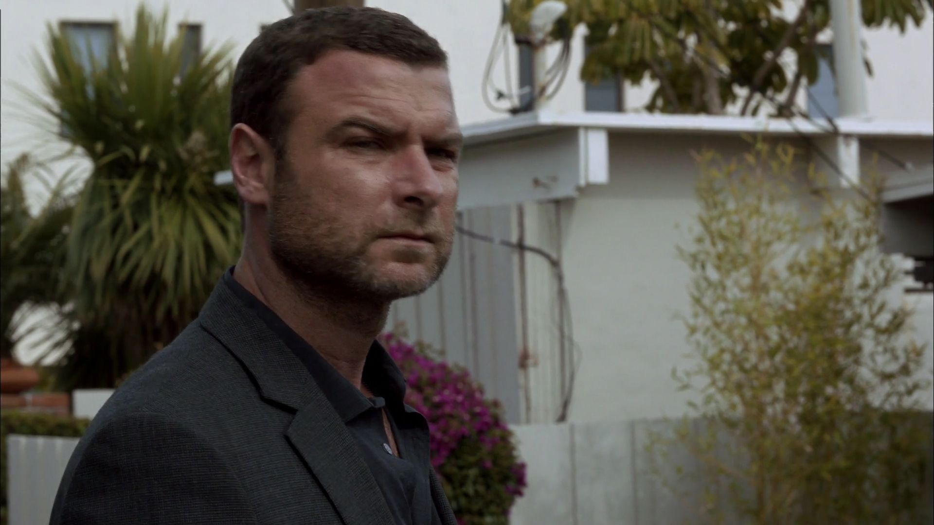 Ray Donovan, Showtime