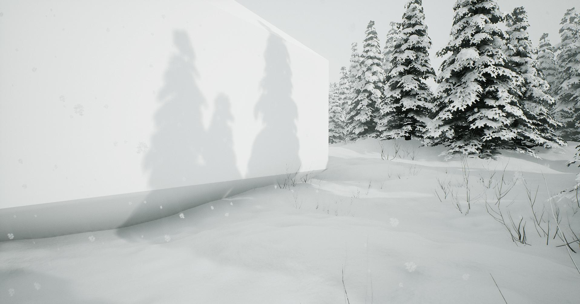 Back of the house in the snow