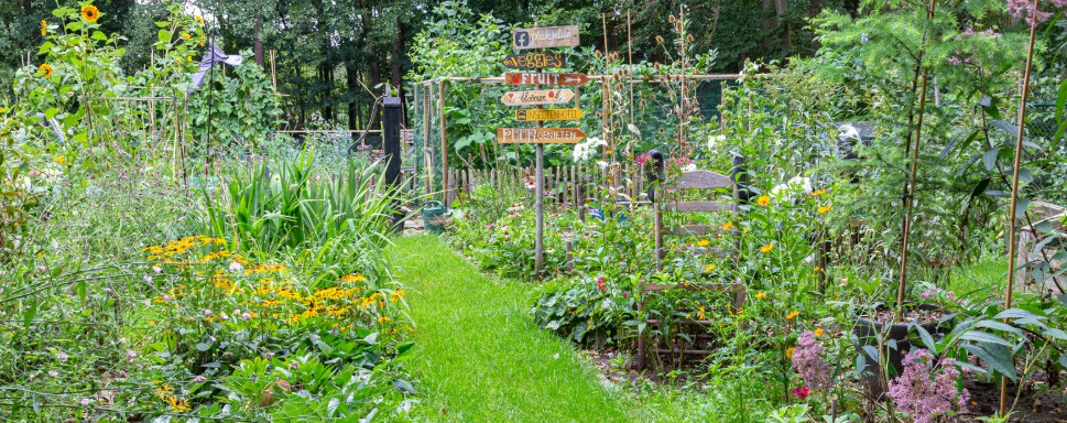 lush productive and beautiful garden with vegetables and flowers
