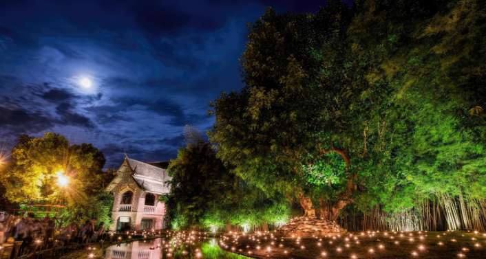 moon above a garden on a summer night