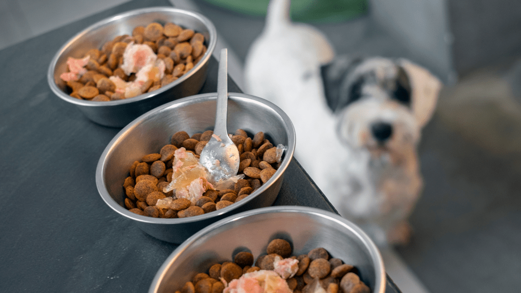 A Guide to Sustainable Packaging In Pet Food Brand Imaging Solutions