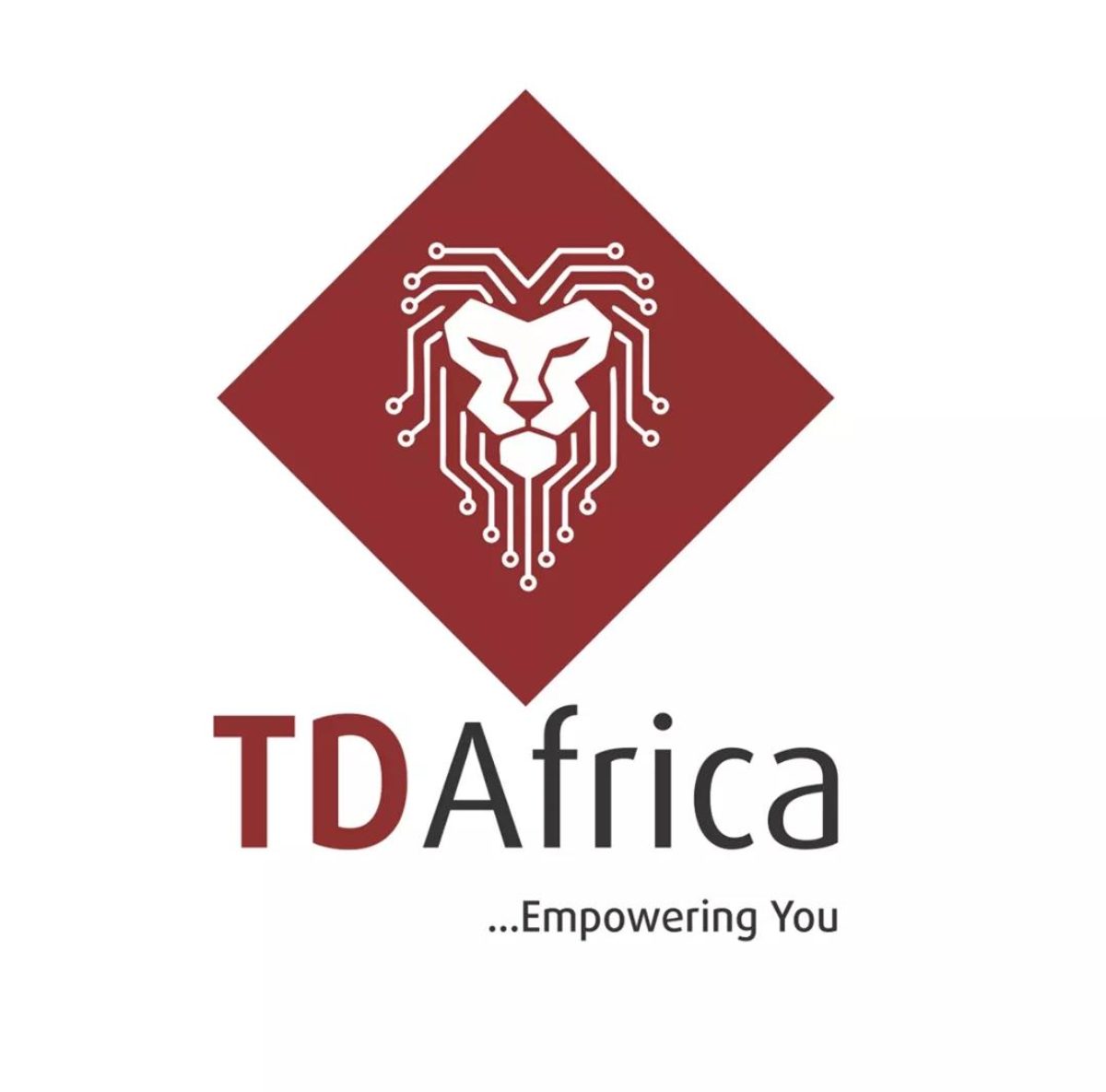 Starlink Appoints TD AFRICA First Authorised Distributor In Africa