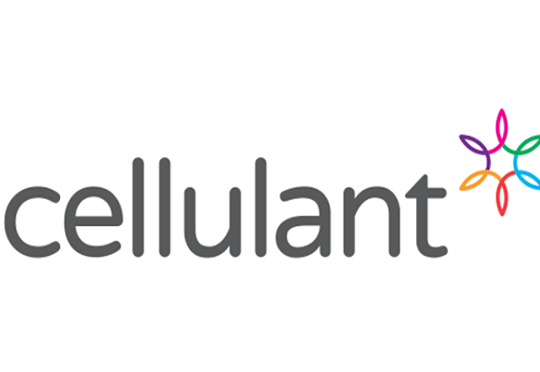 Cellulant Recognised as the Best Digital Payment Solutions Provider in Africa