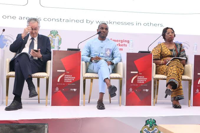 PalmPay Calls For Investment In Interoperable Payment Infrastructure At CBN's Africa Emerging Markets Forum - Brand Spur