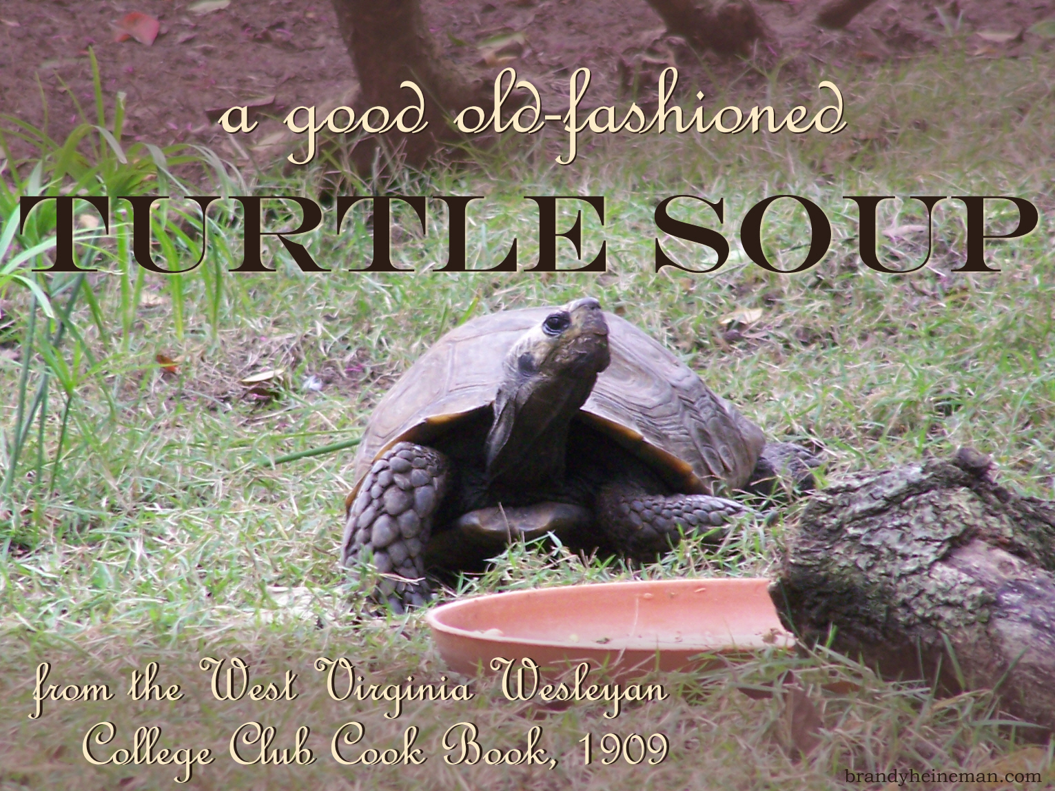 Family Recipe Friday Turtle Soupbut there seems to be one missing