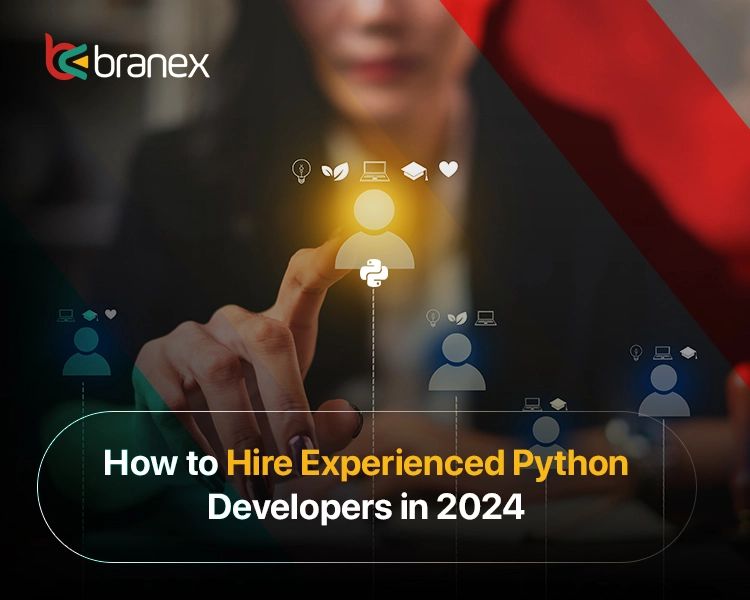 Outsourcing Python Development Experienced Python Developer Hire - Gradient Illustrations - Stunning 4K Collection