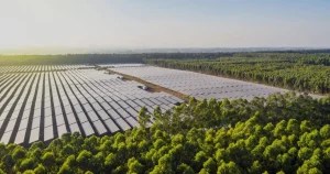 explaining carbon offset projects