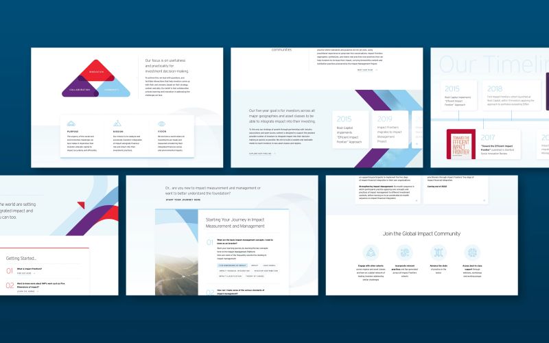 Impact Frontiers Case Study Brave Factor - Best Landscape Arts in Retina