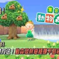 【動物之森攻略】動物森友會最輕鬆賺錢方法！發財樹穩賺3倍錢種植教學！