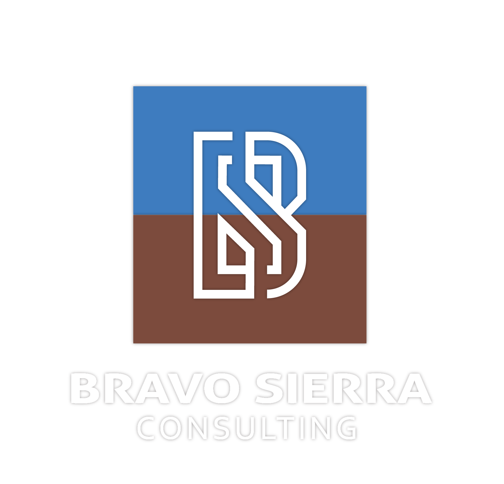 Bravo Sierra Consulting