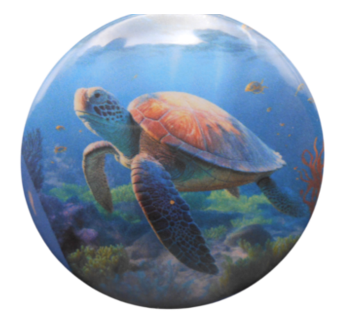 1002-Sea Turtle