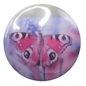 1019 Butterfly